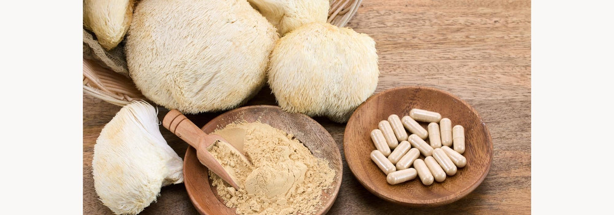 Medicinal Mushrooms: Nature's Adaptogens