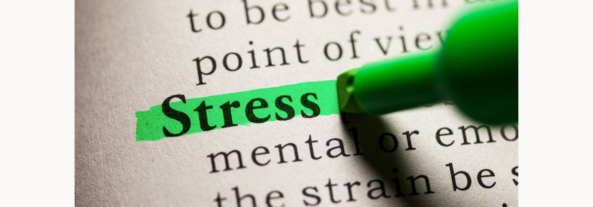 Stress Doesn't Start In Your Mind