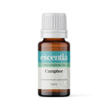 Camphor (Cinnamomum camphora) Essential Oil