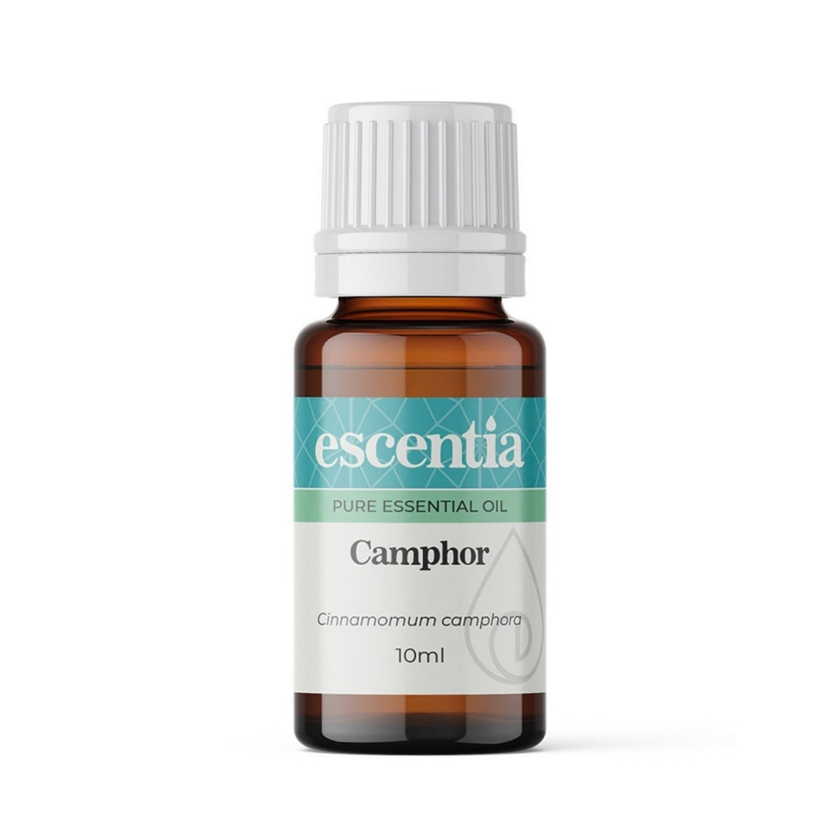 Camphor (Cinnamomum camphora) Essential Oil