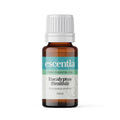Eucalyptus Smithii Essential Oil