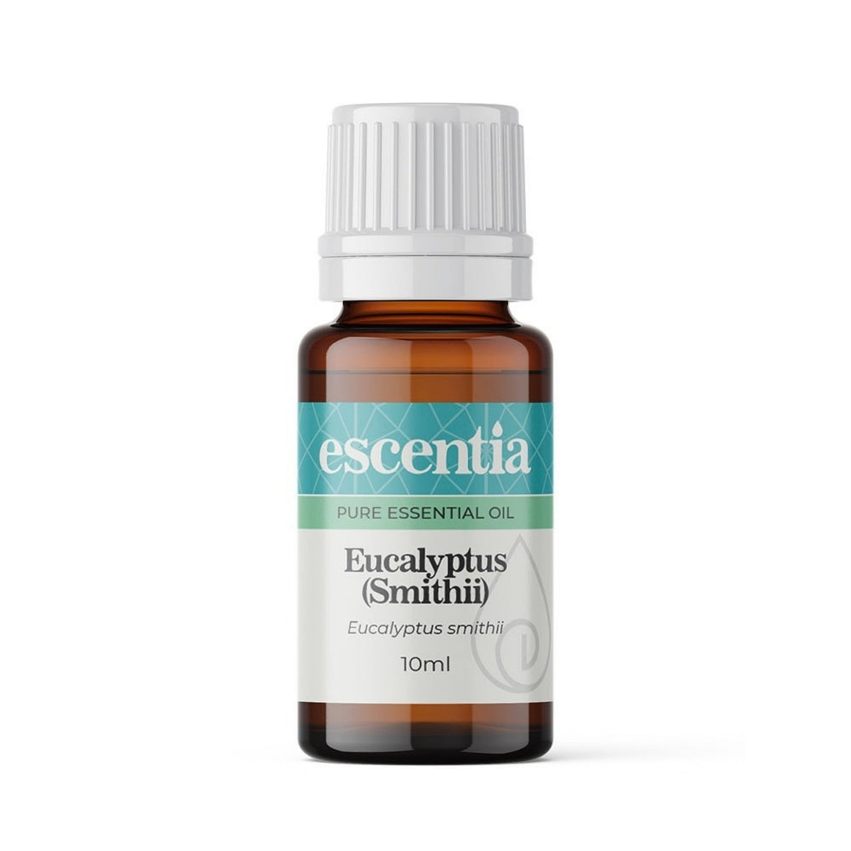 Eucalyptus Smithii Essential Oil