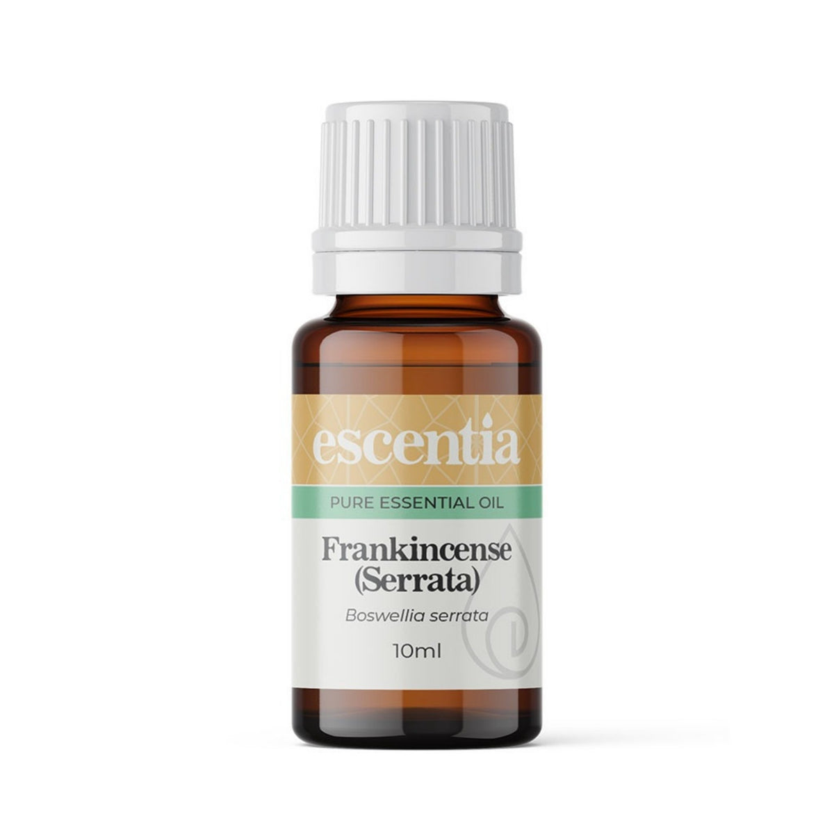 Frankincense Serrata Essential Oil