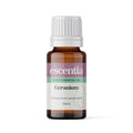 Geranium Essential Oil